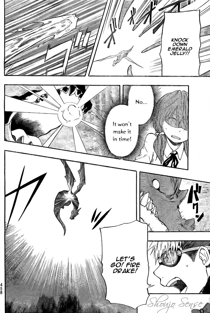 Dragon Collection - Ryuu o Suberumono Chapter 14 page 13 - Chapter 14
