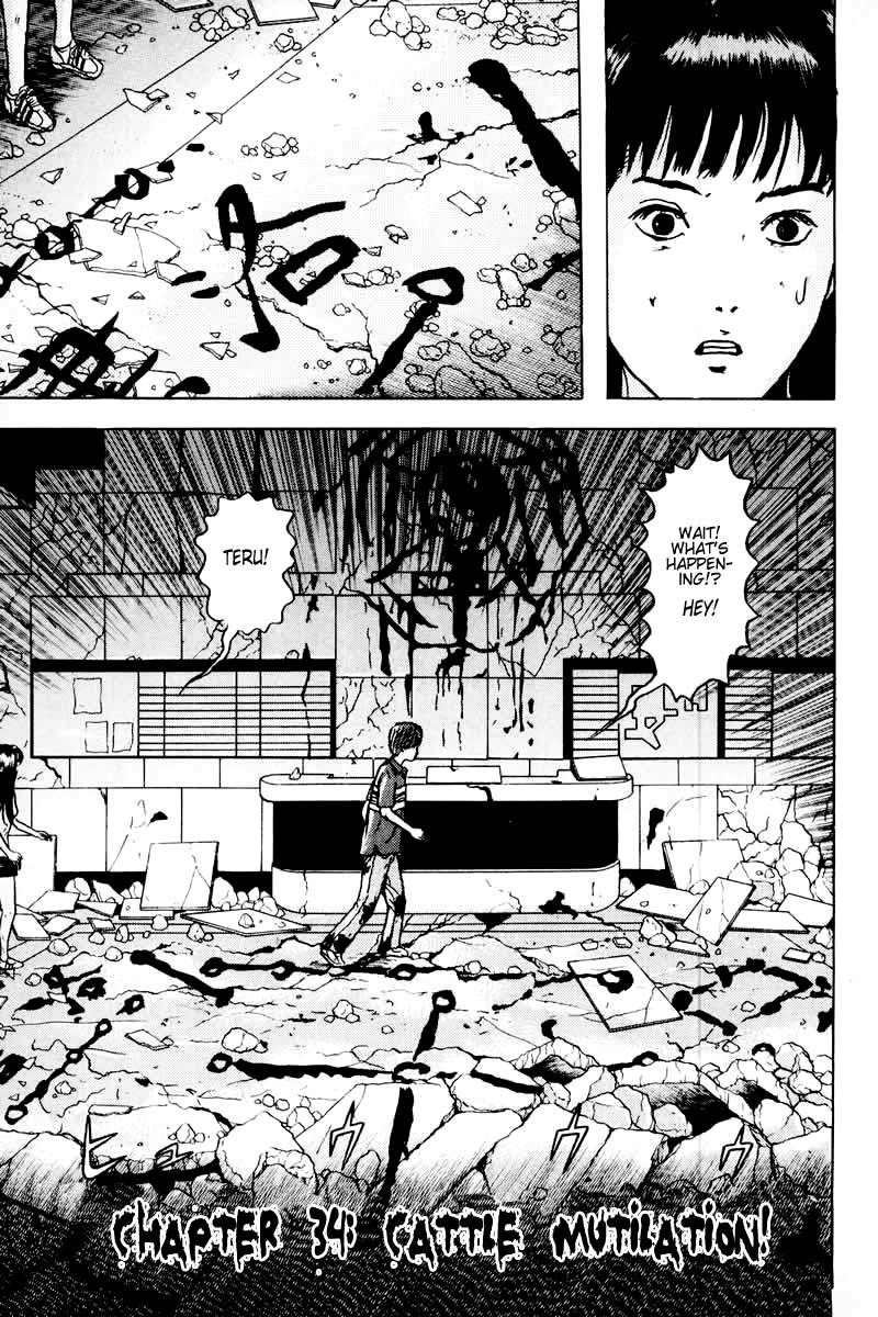 Dragon Head Chapter 34 page 2 - Chapter 34: Cow Mutilation