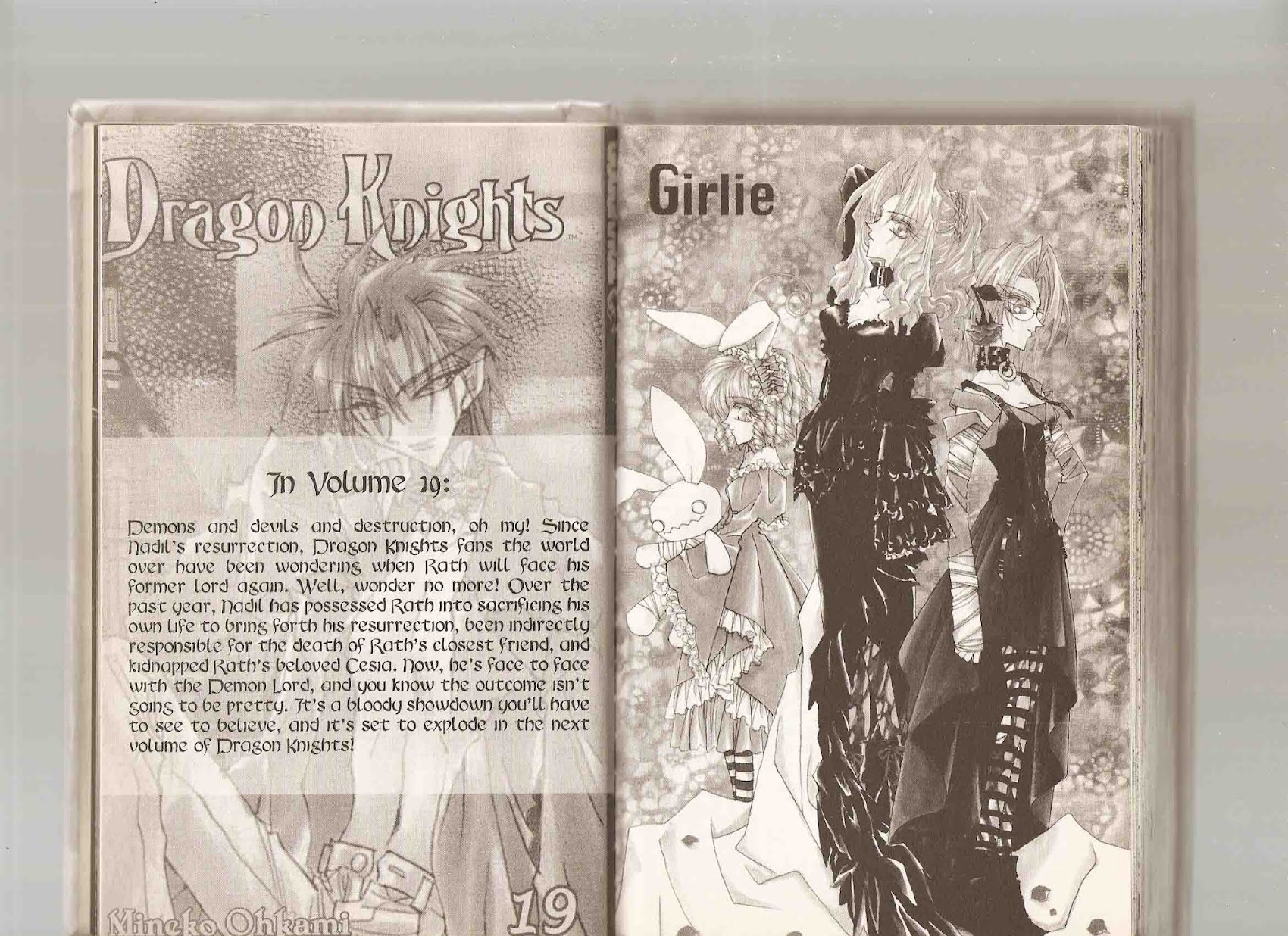Dragon Knights Chapter 109.5 page 3 - Chapter 109.5: Cooking with Kharl and Garfakcy