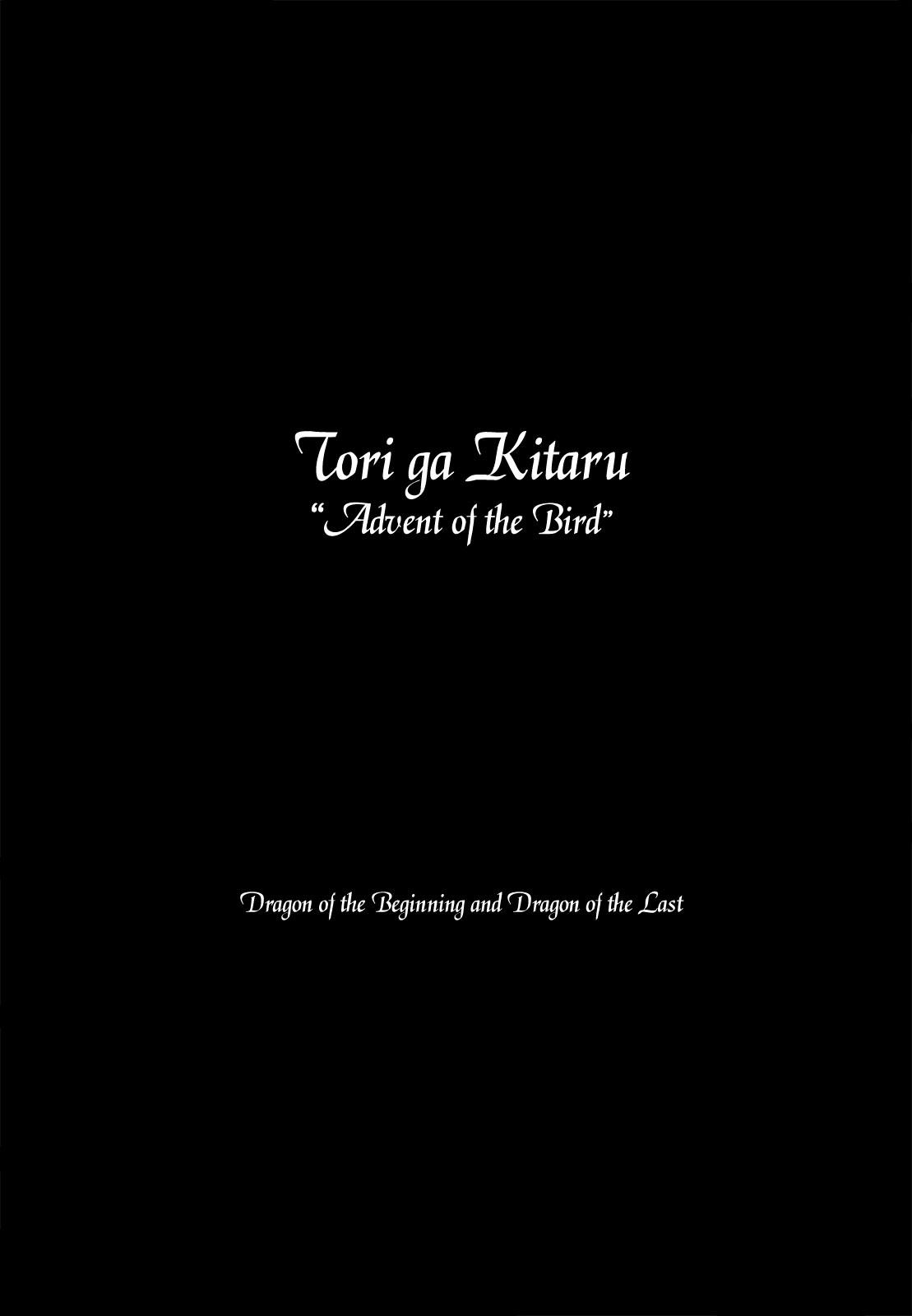 Dragon of the Beginning and Dragon of the Last Chapter 3 page 2 - Chapter 3: Advent of the Bird