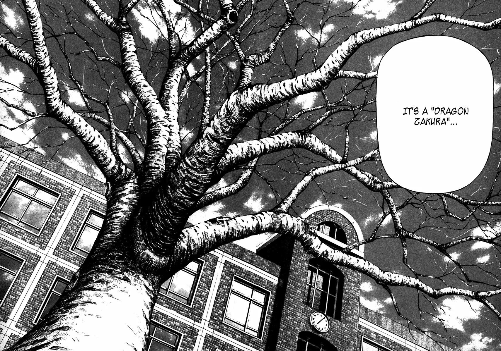 Dragon Zakura Chapter 2 page 16 - Chapter 2: Dragon Zakura