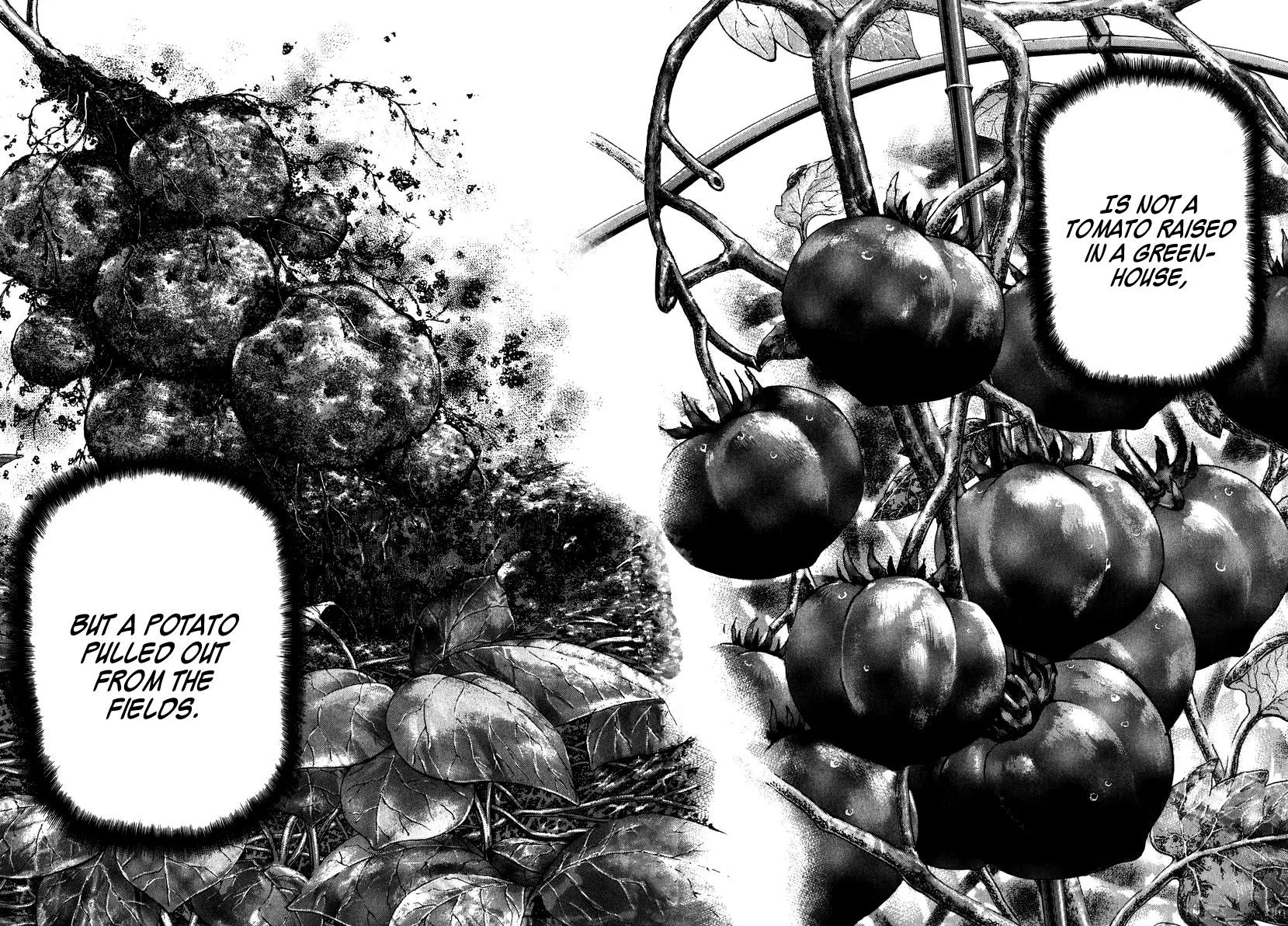 Dragon Zakura Chapter 42 page 14 - Chapter 42: Potato