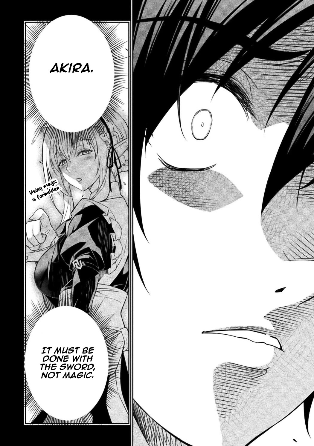 Drawing: The Greatest Mangaka Becomes A Skilled “Martial Artist” In Another World Chapter 203 page 11 - Chapter 203: Melaria of The End