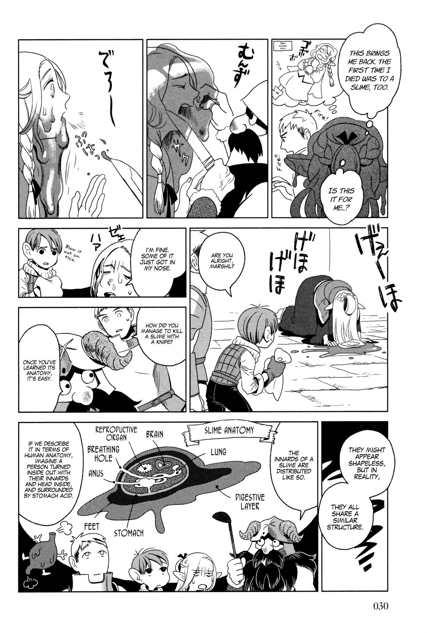 Dungeon Meshi Chapter 1 page 30 - Chapter 1: Hotpot