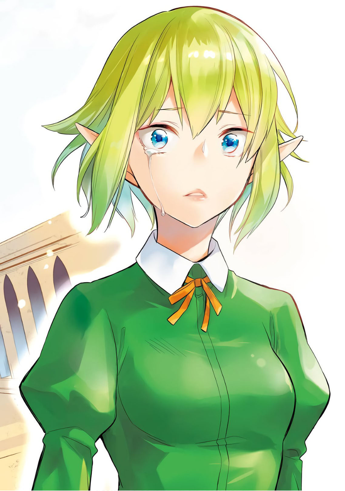 Dungeon ni Deai o Motomeru no wa Machigatte Iru Darou ka: Familia Chronicle Episode Ryu Chapter 14 page 5 - Chapter 14: Girls.04 Her Words