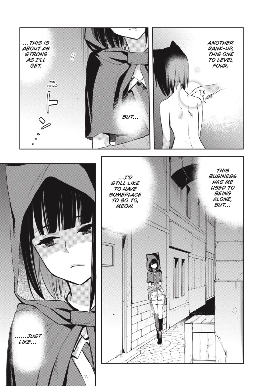 Dungeon ni Deai o Motomeru no wa Machigatte Iru Darou ka: Familia Chronicle Episode Ryu Chapter 16 page 29 - Chapter 16: Girls.06 Chloe