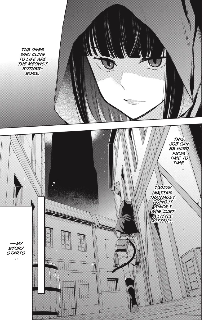 Dungeon ni Deai o Motomeru no wa Machigatte Iru Darou ka: Familia Chronicle Episode Ryu Chapter 16 page 9 - Chapter 16: Girls.06 Chloe