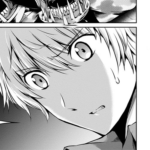 Dungeon ni Deai o Motomeru no wa Machigatte Iru Darou ka Gaiden - Sword Oratoria Chapter 12 : cover