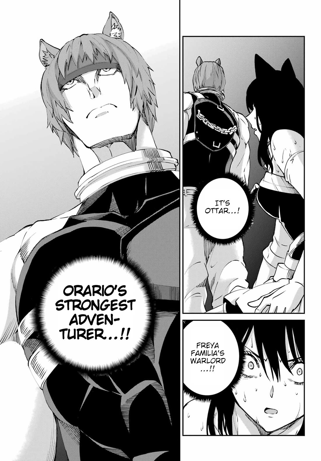 Dungeon ni Deai o Motomeru no wa Machigatte Iru Darou ka Gaiden - Sword Oratoria Chapter 128 page 39 - Chapter 128: Memoria Freese