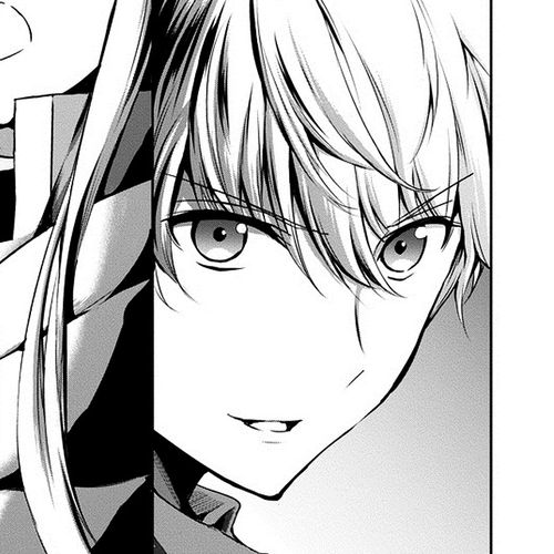Dungeon ni Deai o Motomeru no wa Machigatte Iru Darou ka Gaiden - Sword Oratoria Chapter 13 : cover