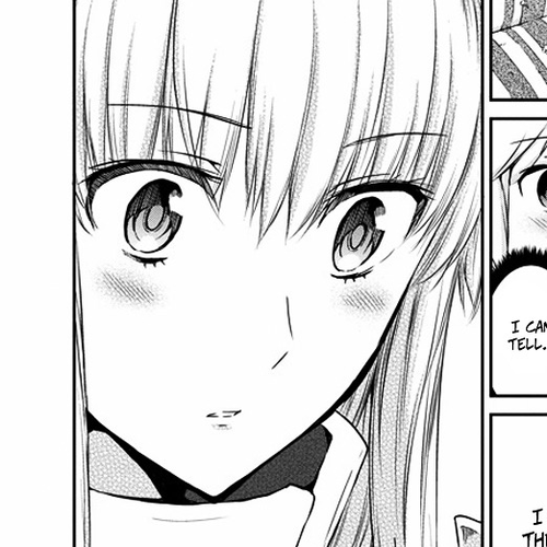 Dungeon ni Deai o Motomeru no wa Machigatte Iru Darou ka Gaiden - Sword Oratoria Chapter 17 v2 : cover