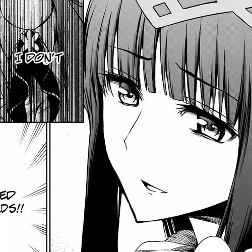 Dungeon ni Deai o Motomeru no wa Machigatte Iru Darou ka Gaiden - Sword Oratoria Chapter 20 : cover