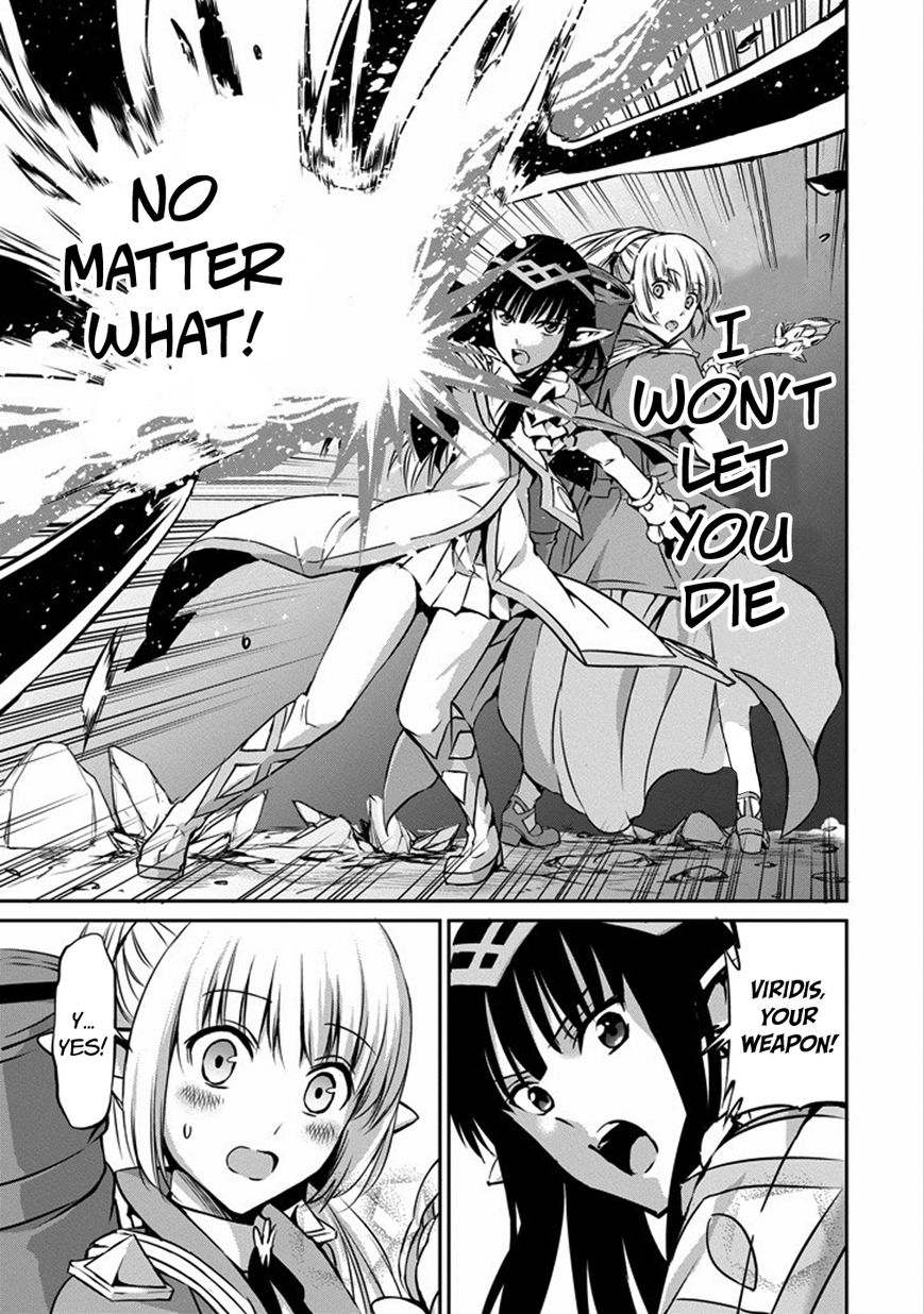 Dungeon ni Deai o Motomeru no wa Machigatte Iru Darou ka Gaiden - Sword Oratoria Chapter 26 page 29 - Chapter 26 : Error Case