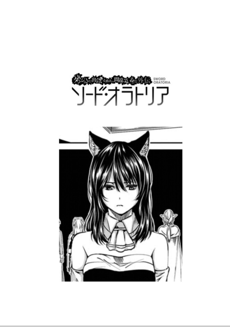 Dungeon ni Deai o Motomeru no wa Machigatte Iru Darou ka Gaiden - Sword Oratoria Chapter 63 page 41 - Chapter 63: Extra