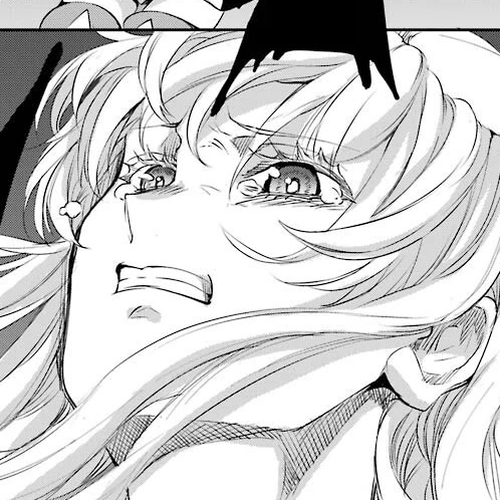 Dungeon ni Deai o Motomeru no wa Machigatte Iru Darou ka Gaiden - Sword Oratoria Chapter 91: Two Side cover