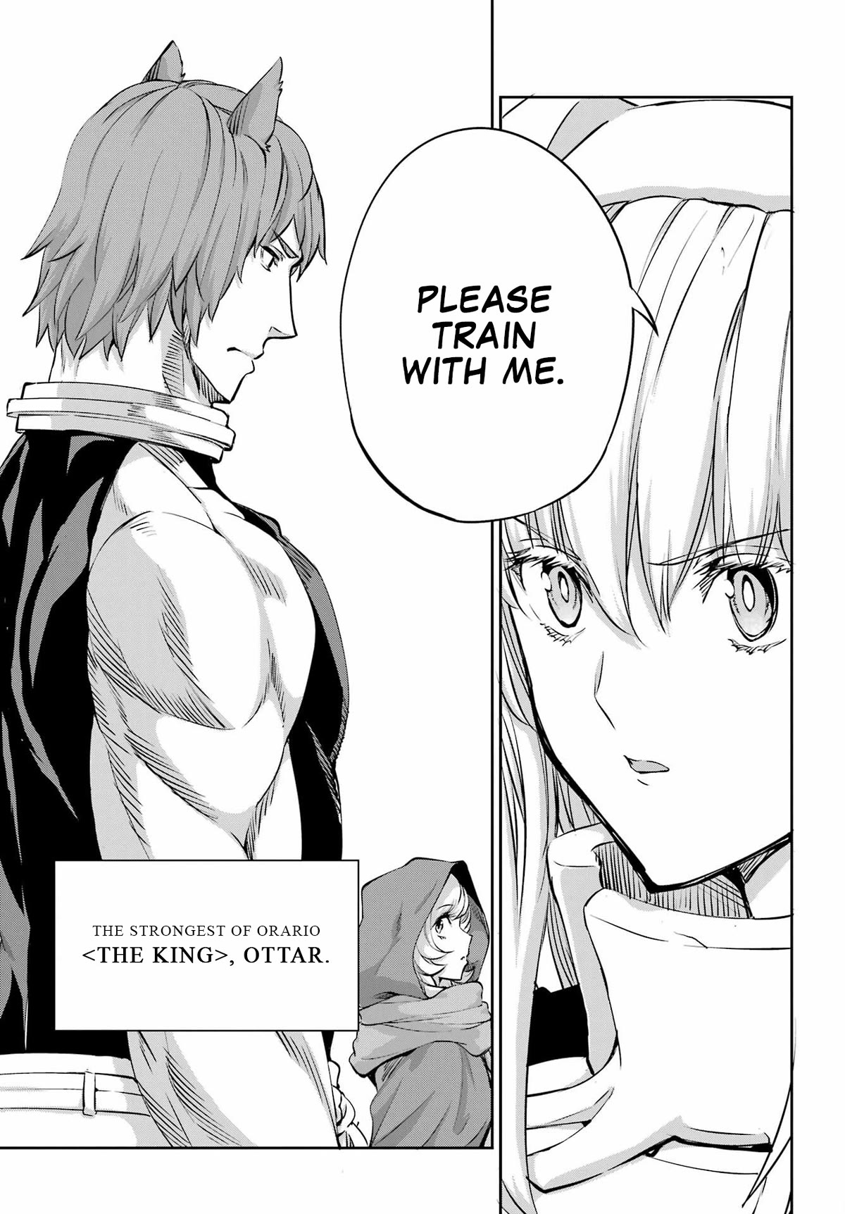 Dungeon ni Deai o Motomeru no wa Machigatte Iru Darou ka Gaiden - Sword Oratoria Chapter 98 page 25 - Chapter 98: Run Again