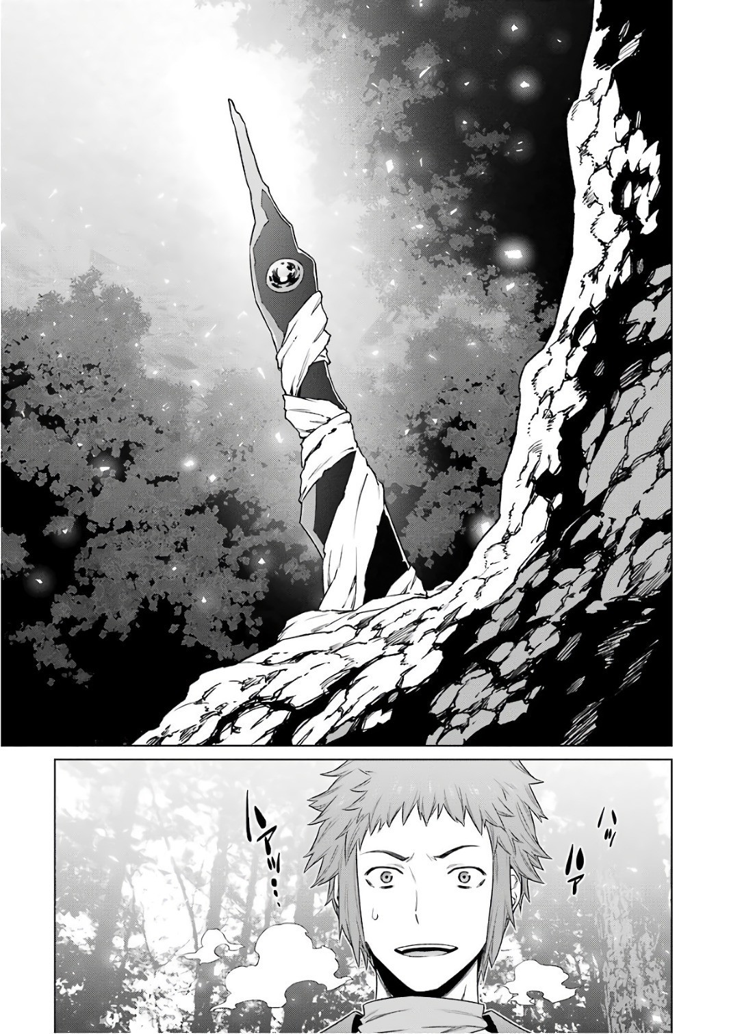 Dungeon ni Deai o Motomeru no wa Machigatte Iru Darou ka Chapter 83 page 19 - Chapter 83: Stubbornness & Companions