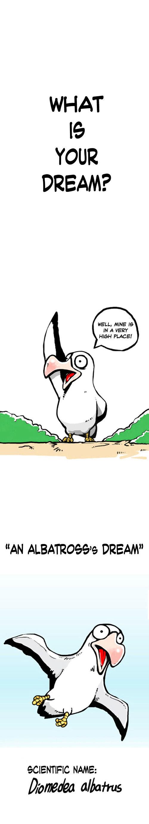 Earth, Human, and Animal Chapter 1 page 1 - Chapter 1 : An Albatross's Dream