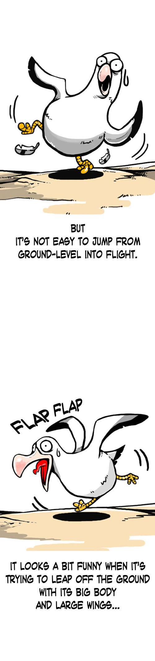 Earth, Human, and Animal Chapter 1 page 10 - Chapter 1 : An Albatross's Dream