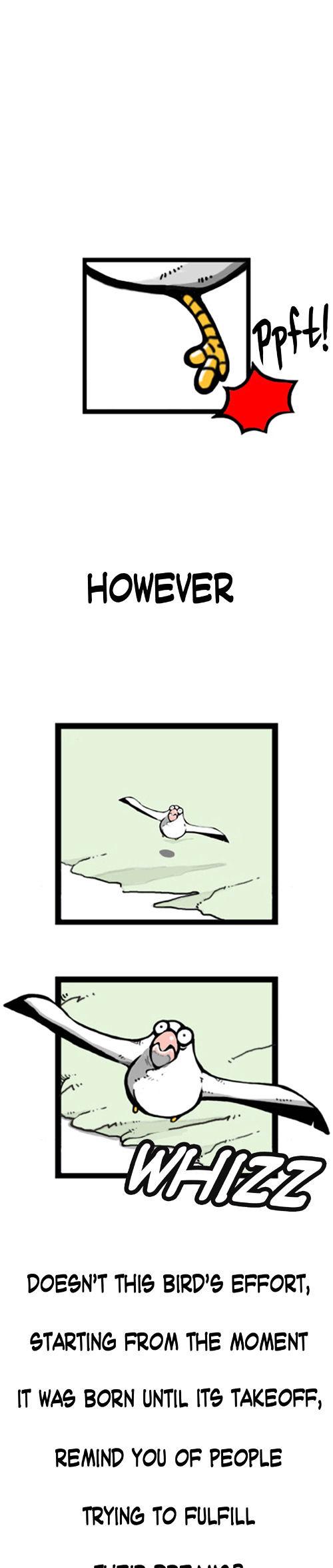 Earth, Human, and Animal Chapter 1 page 11 - Chapter 1 : An Albatross's Dream
