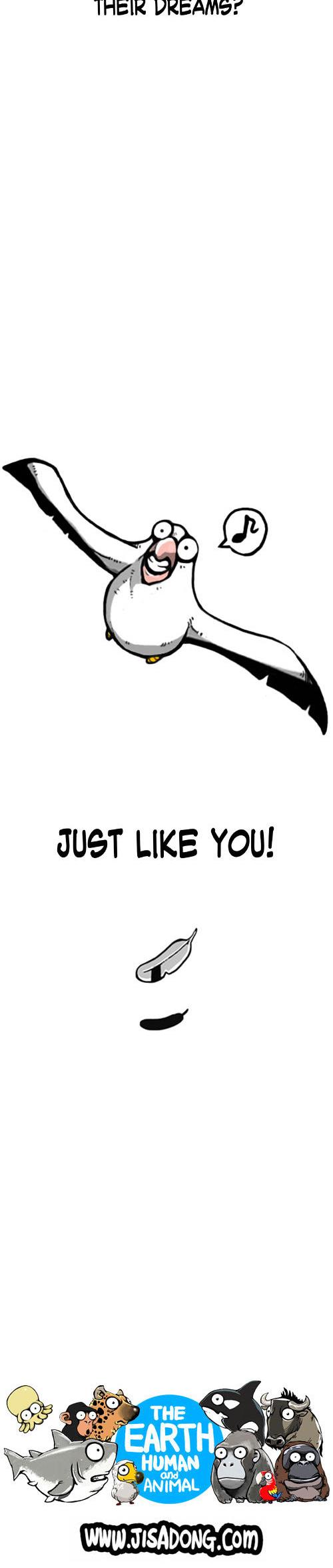 Earth, Human, and Animal Chapter 1 page 12 - Chapter 1 : An Albatross's Dream