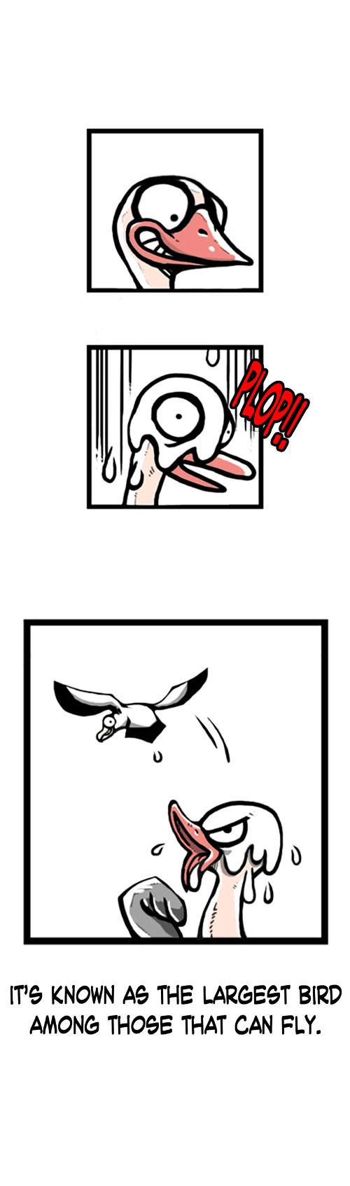 Earth, Human, and Animal Chapter 1 page 3 - Chapter 1 : An Albatross's Dream