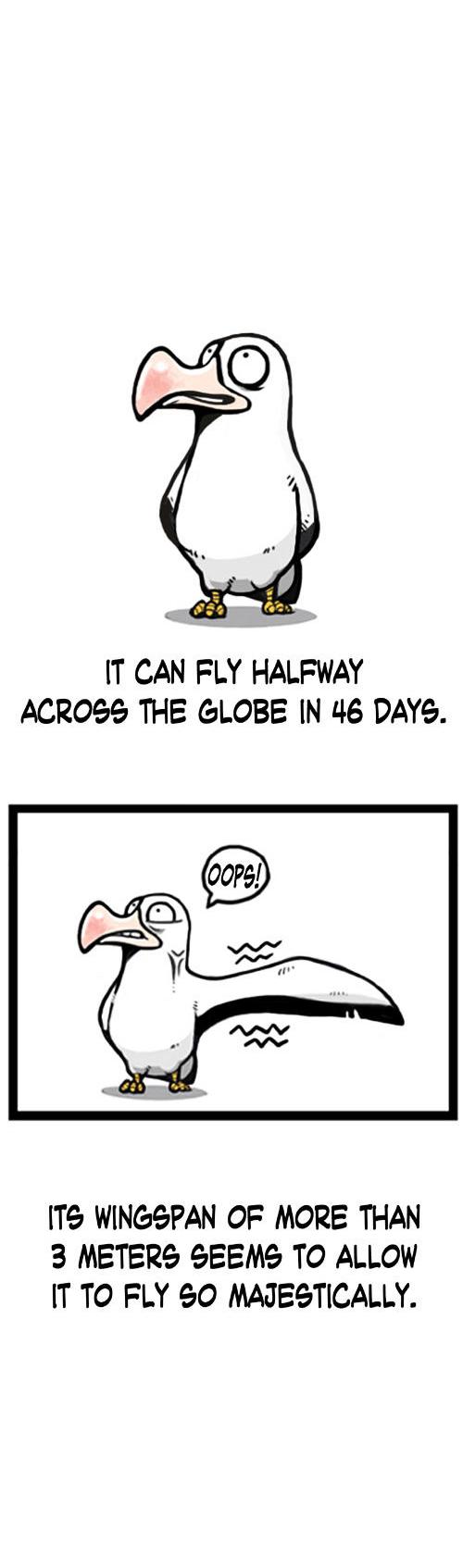 Earth, Human, and Animal Chapter 1 page 4 - Chapter 1 : An Albatross's Dream