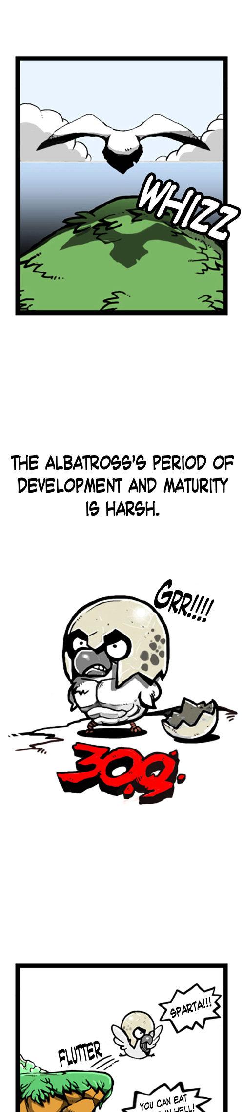 Earth, Human, and Animal Chapter 1 page 5 - Chapter 1 : An Albatross's Dream