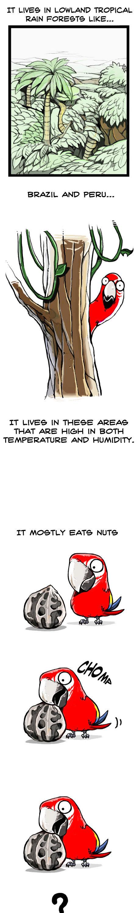 Earth, Human, and Animal Chapter 11 page 4 - Chapter 11 : the Scarlet Macaw's Ability