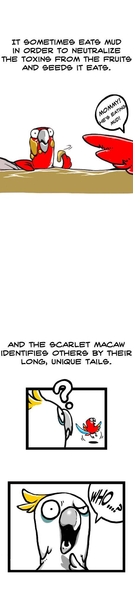 Earth, Human, and Animal Chapter 11 page 6 - Chapter 11 : the Scarlet Macaw's Ability
