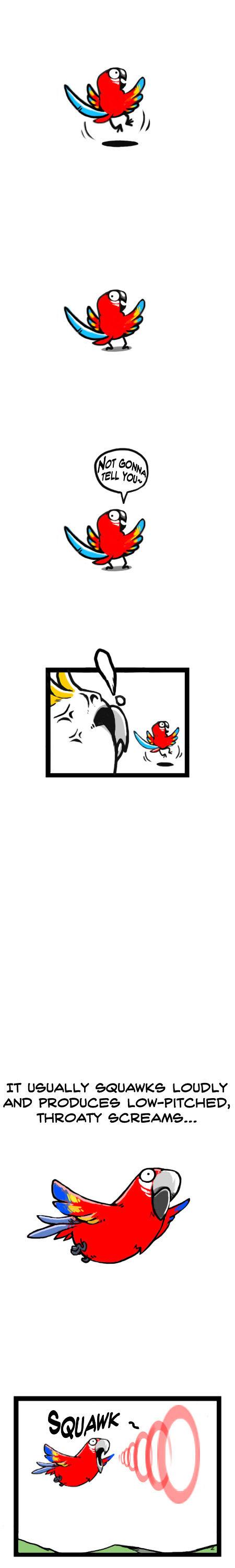 Earth, Human, and Animal Chapter 11 page 7 - Chapter 11 : the Scarlet Macaw's Ability