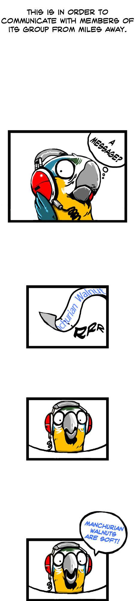 Earth, Human, and Animal Chapter 11 page 8 - Chapter 11 : the Scarlet Macaw's Ability