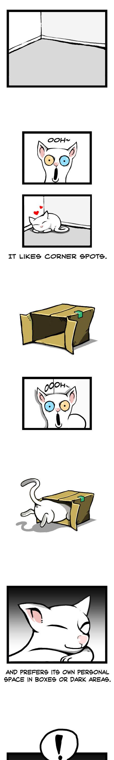 Earth, Human, and Animal Chapter 12 page 10 - Chapter 12 : the Odd-Eyed Turkish Angora