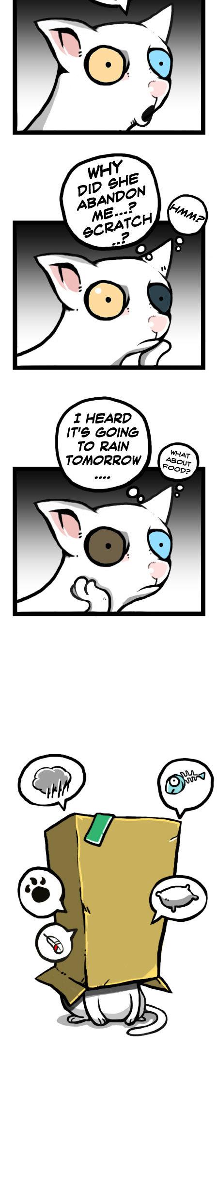 Earth, Human, and Animal Chapter 12 page 11 - Chapter 12 : the Odd-Eyed Turkish Angora