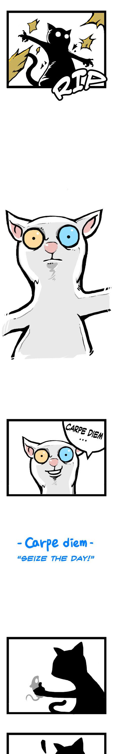 Earth, Human, and Animal Chapter 12 page 13 - Chapter 12 : the Odd-Eyed Turkish Angora