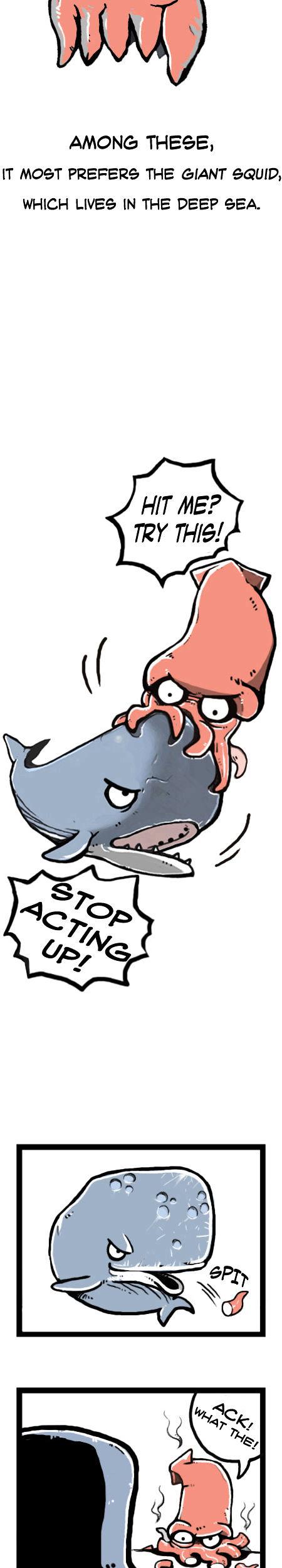 Earth, Human, and Animal Chapter 13 page 11 - Chapter 13 : the Value of the Sperm Whale
