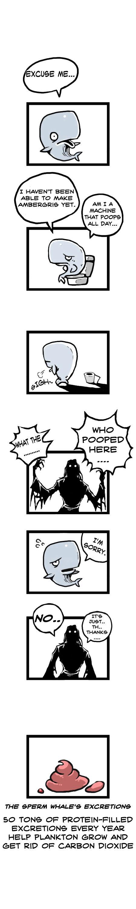 Earth, Human, and Animal Chapter 13 page 14 - Chapter 13 : the Value of the Sperm Whale