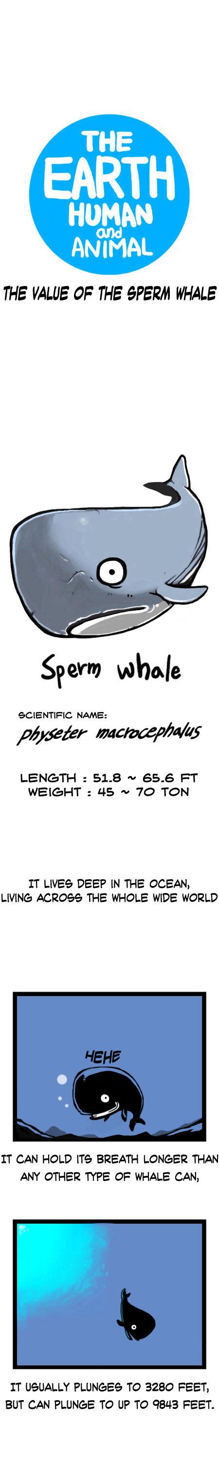 Earth, Human, and Animal Chapter 13 page 4 - Chapter 13 : the Value of the Sperm Whale