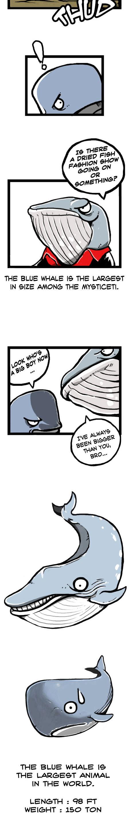 Earth, Human, and Animal Chapter 13 page 6 - Chapter 13 : the Value of the Sperm Whale