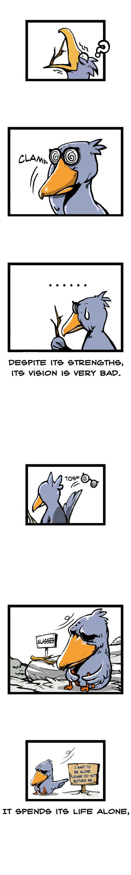 Earth, Human, and Animal Chapter 14 page 10 - Chapter 14 : a Living Fossil: the Shoebill