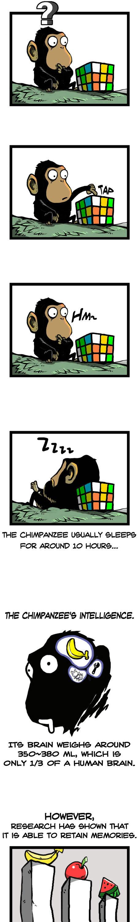 Earth, Human, and Animal Chapter 15 page 10 - Chapter 15 : the Chimpanzee's Sacrifice