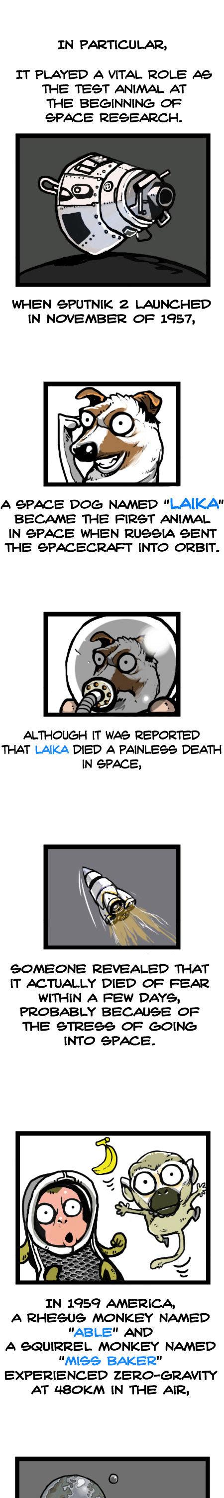 Earth, Human, and Animal Chapter 15 page 13 - Chapter 15 : the Chimpanzee's Sacrifice