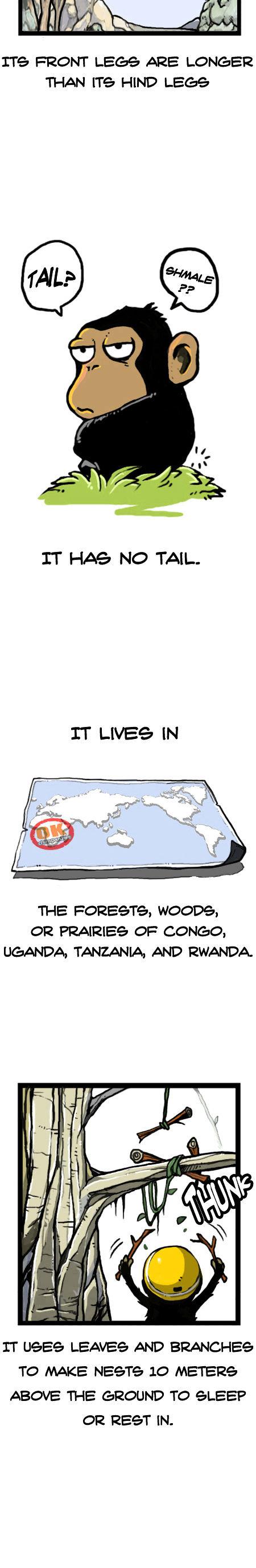 Earth, Human, and Animal Chapter 15 page 5 - Chapter 15 : the Chimpanzee's Sacrifice