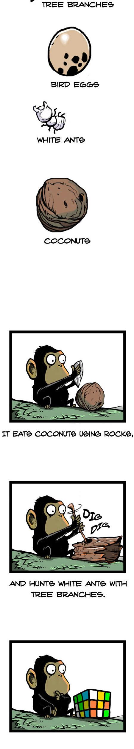 Earth, Human, and Animal Chapter 15 page 9 - Chapter 15 : the Chimpanzee's Sacrifice