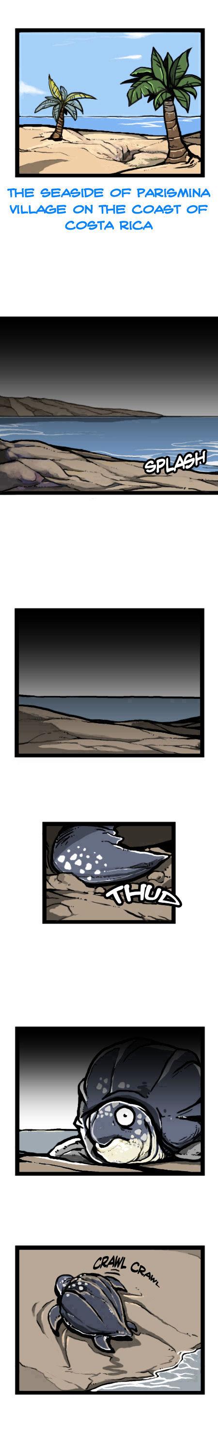 Earth, Human, and Animal Chapter 16 page 1 - Chapter 16 : the Fate of the Leatherback Sea Turtle #1