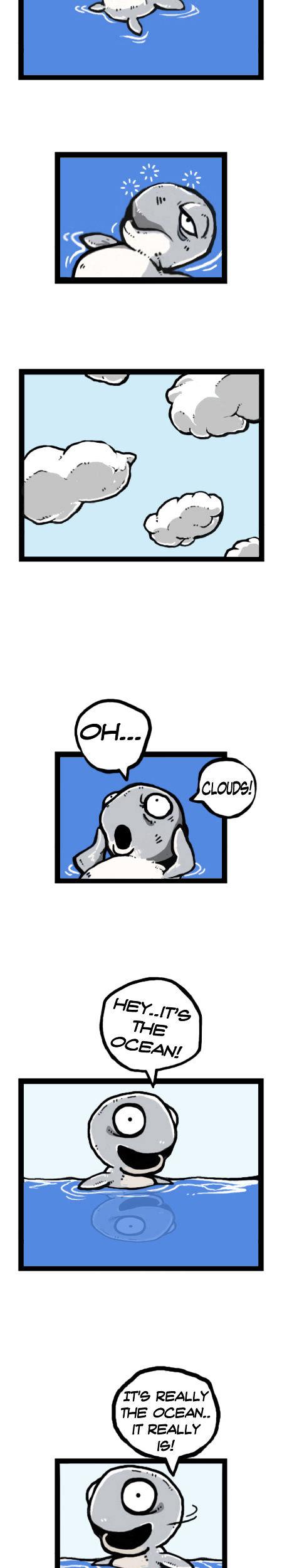 Earth, Human, and Animal Chapter 16 page 11 - Chapter 16 : the Fate of the Leatherback Sea Turtle #1