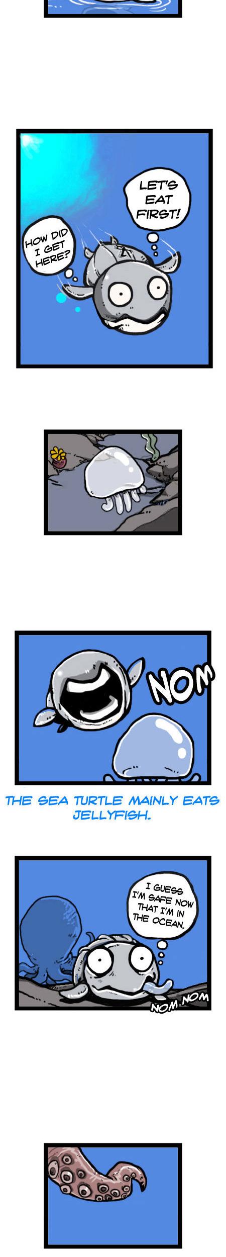 Earth, Human, and Animal Chapter 16 page 12 - Chapter 16 : the Fate of the Leatherback Sea Turtle #1