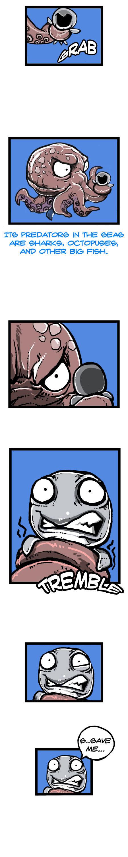 Earth, Human, and Animal Chapter 16 page 13 - Chapter 16 : the Fate of the Leatherback Sea Turtle #1