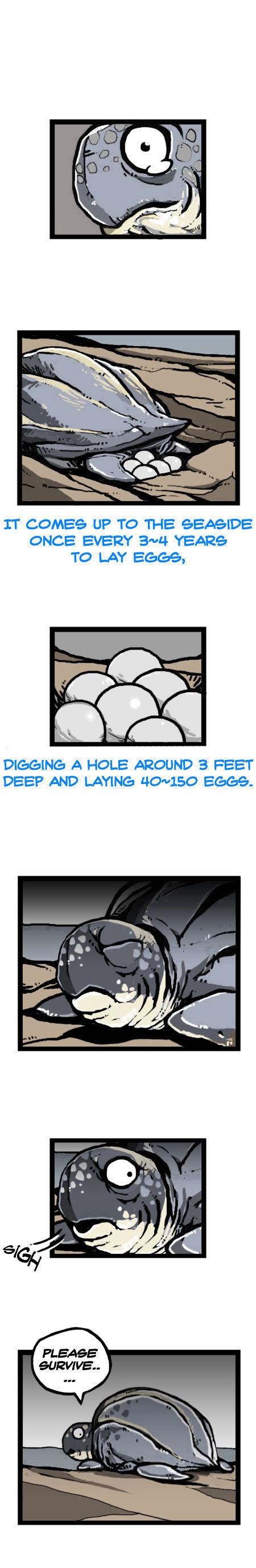 Earth, Human, and Animal Chapter 16 page 2 - Chapter 16 : the Fate of the Leatherback Sea Turtle #1