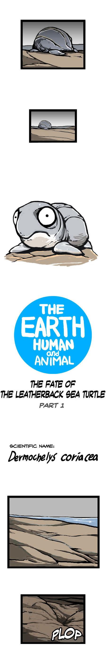 Earth, Human, and Animal Chapter 16 page 3 - Chapter 16 : the Fate of the Leatherback Sea Turtle #1